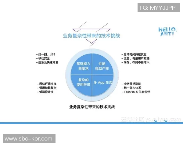 北京排球队技术分析与战术创新的深度探讨与展望