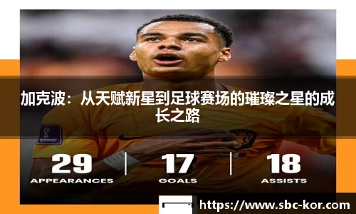 sunbet官方网站